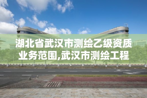 湖北省武漢市測繪乙級資質業務范圍,武漢市測繪工程技術規定