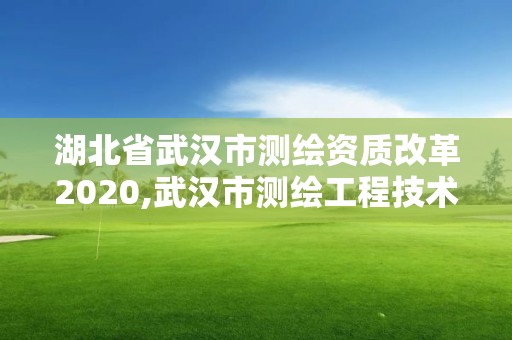 湖北省武漢市測繪資質改革2020,武漢市測繪工程技術規定