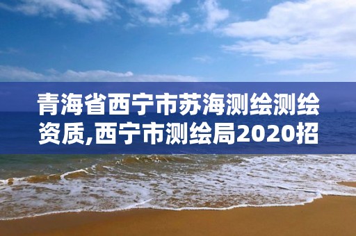 青海省西寧市蘇海測繪測繪資質,西寧市測繪局2020招聘