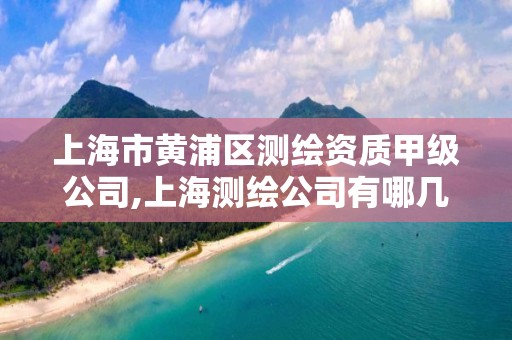 上海市黃浦區測繪資質甲級公司,上海測繪公司有哪幾家