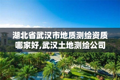 湖北省武漢市地質測繪資質哪家好,武漢土地測繪公司