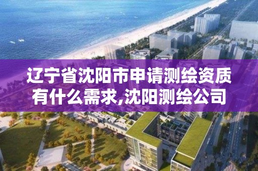 遼寧省沈陽市申請測繪資質有什么需求,沈陽測繪公司哪家強哪家好