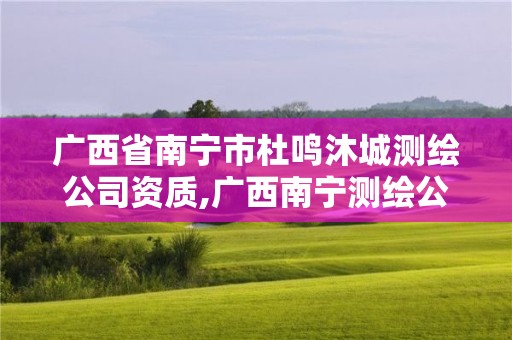 廣西省南寧市杜鳴沐城測繪公司資質,廣西南寧測繪公司排名。