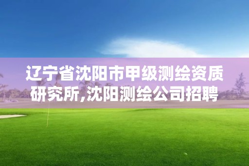 遼寧省沈陽市甲級測繪資質研究所,沈陽測繪公司招聘信息最新招聘。