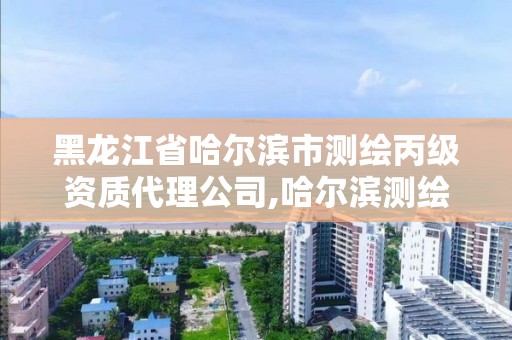 黑龍江省哈爾濱市測繪丙級資質(zhì)代理公司,哈爾濱測繪公司哪家好