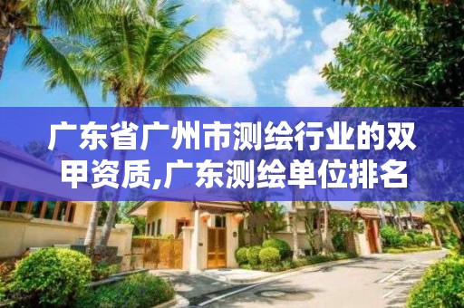 廣東省廣州市測繪行業的雙甲資質,廣東測繪單位排名