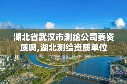 湖北省武漢市測繪公司要資質嗎,湖北測繪資質單位