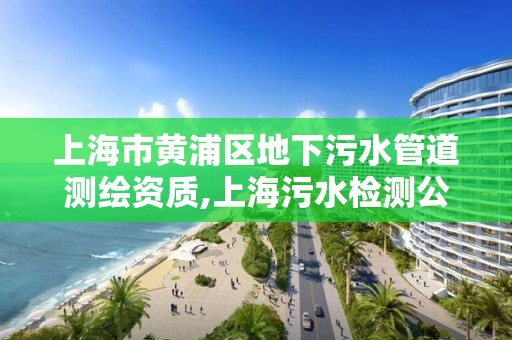 上海市黃浦區(qū)地下污水管道測繪資質(zhì),上海污水檢測公司有哪些。