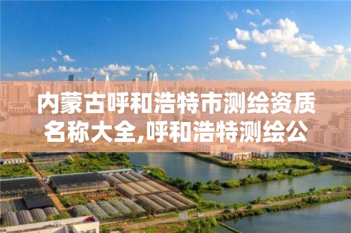 內蒙古呼和浩特市測繪資質名稱大全,呼和浩特測繪公司招聘