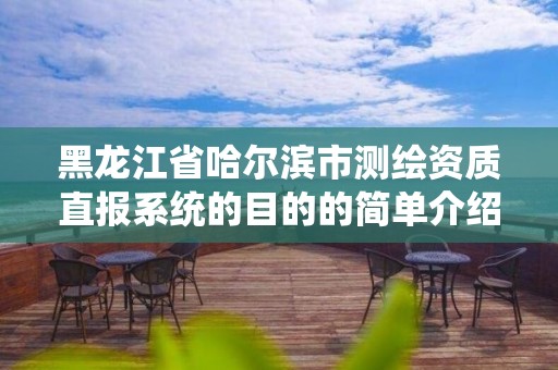 黑龍江省哈爾濱市測繪資質直報系統的目的的簡單介紹