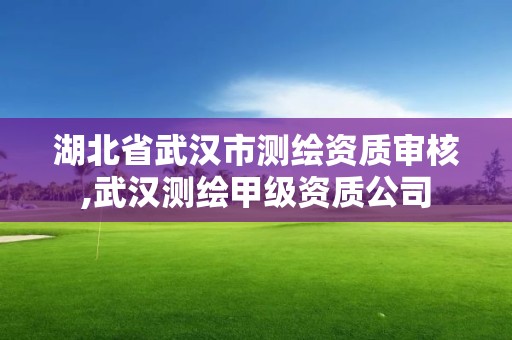 湖北省武漢市測繪資質(zhì)審核,武漢測繪甲級資質(zhì)公司