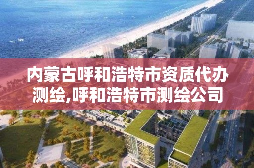 內蒙古呼和浩特市資質代辦測繪,呼和浩特市測繪公司有哪些