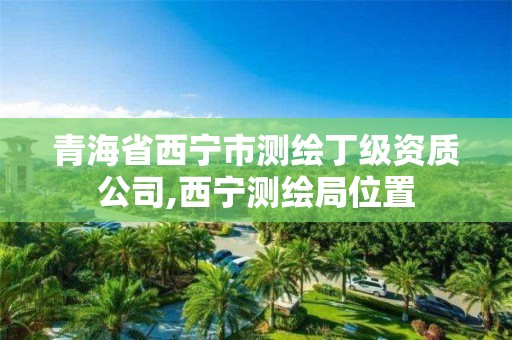 青海省西寧市測繪丁級資質公司,西寧測繪局位置