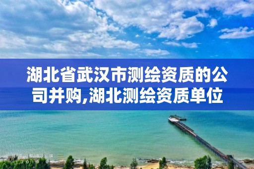 湖北省武漢市測繪資質(zhì)的公司并購,湖北測繪資質(zhì)單位