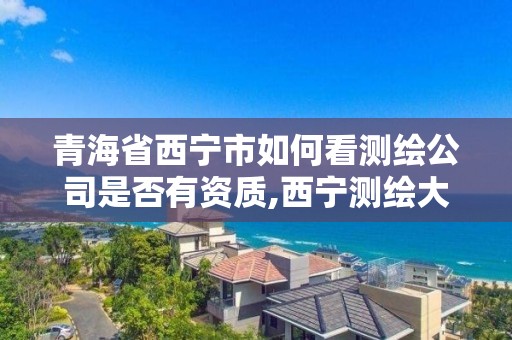 青海省西寧市如何看測繪公司是否有資質,西寧測繪大廈在哪兒。