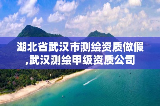 湖北省武漢市測繪資質(zhì)做假,武漢測繪甲級資質(zhì)公司