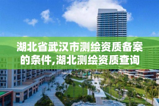 湖北省武漢市測繪資質備案的條件,湖北測繪資質查詢