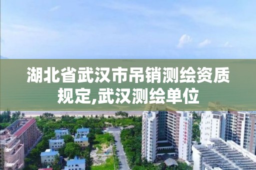 湖北省武漢市吊銷測繪資質規定,武漢測繪單位