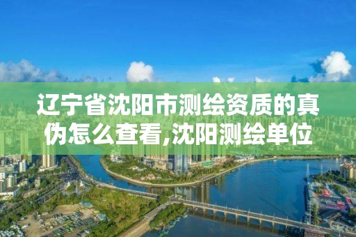 遼寧省沈陽市測繪資質的真偽怎么查看,沈陽測繪單位排名