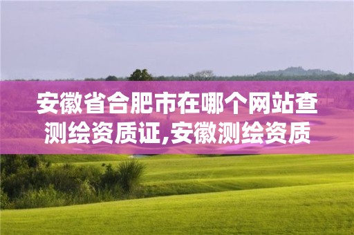 安徽省合肥市在哪個(gè)網(wǎng)站查測(cè)繪資質(zhì)證,安徽測(cè)繪資質(zhì)查詢系統(tǒng)。