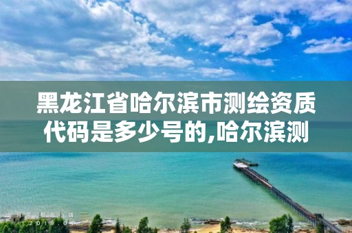 黑龍江省哈爾濱市測繪資質代碼是多少號的,哈爾濱測繪局是干什么的。