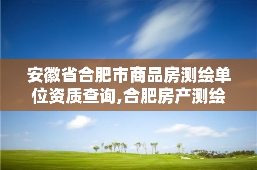 安徽省合肥市商品房測繪單位資質(zhì)查詢,合肥房產(chǎn)測繪公司。