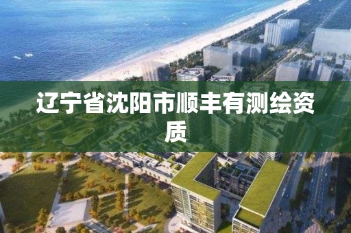 遼寧省沈陽市順豐有測繪資質