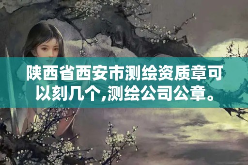 陜西省西安市測繪資質(zhì)章可以刻幾個(gè),測繪公司公章。