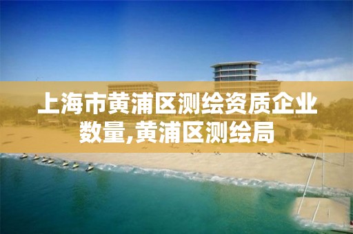 上海市黃浦區(qū)測繪資質(zhì)企業(yè)數(shù)量,黃浦區(qū)測繪局