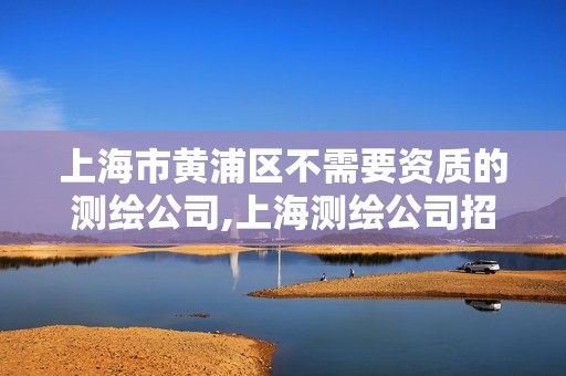 上海市黃浦區不需要資質的測繪公司,上海測繪公司招聘。