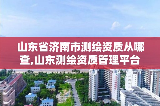 山東省濟南市測繪資質從哪查,山東測繪資質管理平臺