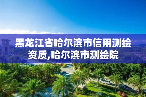 黑龍江省哈爾濱市信用測繪資質,哈爾濱市測繪院