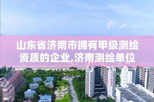 山東省濟南市擁有甲級測繪資質的企業,濟南測繪單位。