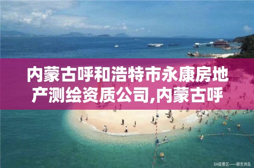 內蒙古呼和浩特市永康房地產測繪資質公司,內蒙古呼和浩特市永康房地產測繪資質公司有幾家。