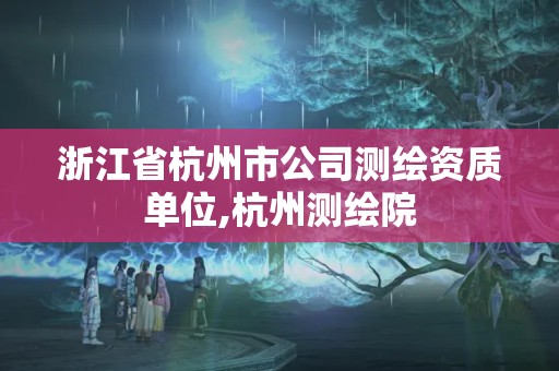 浙江省杭州市公司測繪資質單位,杭州測繪院