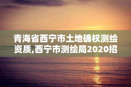 青海省西寧市土地確權測繪資質,西寧市測繪局2020招聘