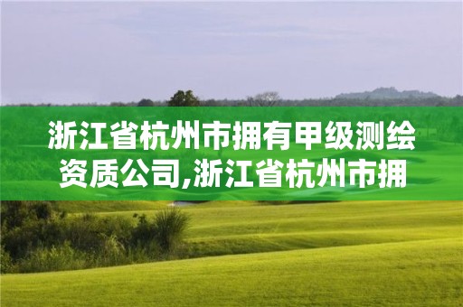 浙江省杭州市擁有甲級測繪資質公司,浙江省杭州市擁有甲級測繪資質公司有幾家