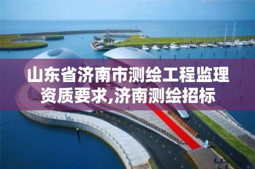 山東省濟南市測繪工程監理資質要求,濟南測繪招標