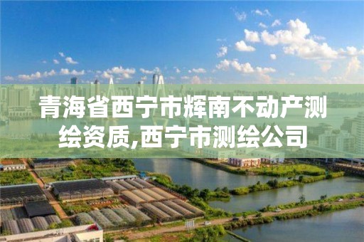 青海省西寧市輝南不動產測繪資質,西寧市測繪公司