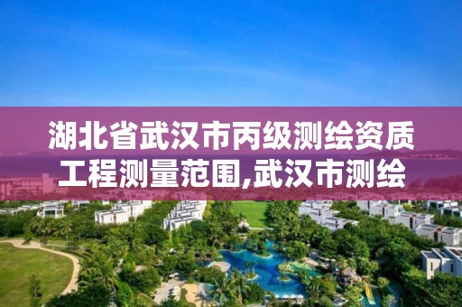 湖北省武漢市丙級測繪資質工程測量范圍,武漢市測繪工程技術規(guī)定