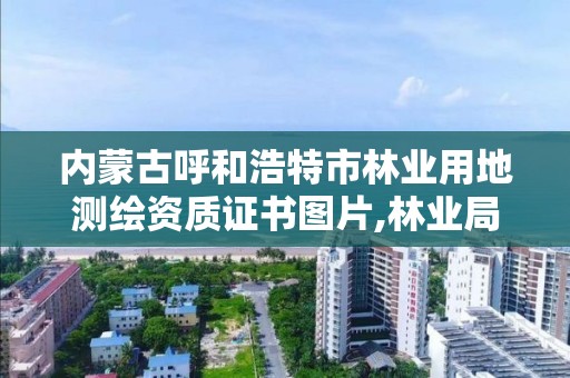 內蒙古呼和浩特市林業用地測繪資質證書圖片,林業局測繪是做什么的。