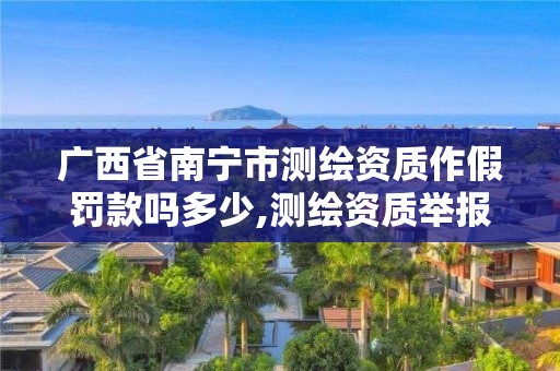 廣西省南寧市測繪資質(zhì)作假罰款嗎多少,測繪資質(zhì)舉報。