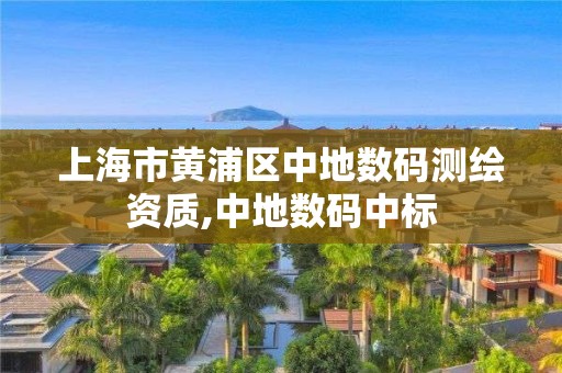 上海市黃浦區中地數碼測繪資質,中地數碼中標