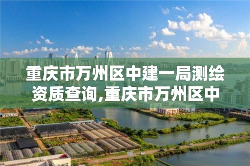 重慶市萬州區中建一局測繪資質查詢,重慶市萬州區中建一局測繪資質查詢。