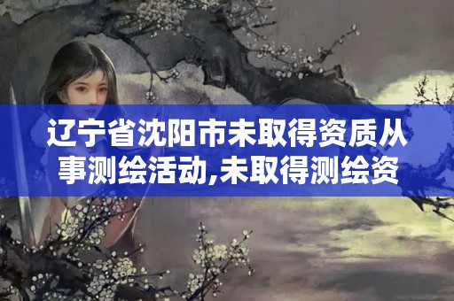 遼寧省沈陽市未取得資質從事測繪活動,未取得測繪資質證書擅自從事測繪活動的