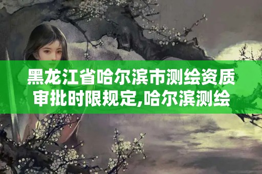 黑龍江省哈爾濱市測繪資質(zhì)審批時限規(guī)定,哈爾濱測繪地理信息局