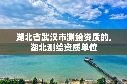 湖北省武漢市測繪資質的,湖北測繪資質單位