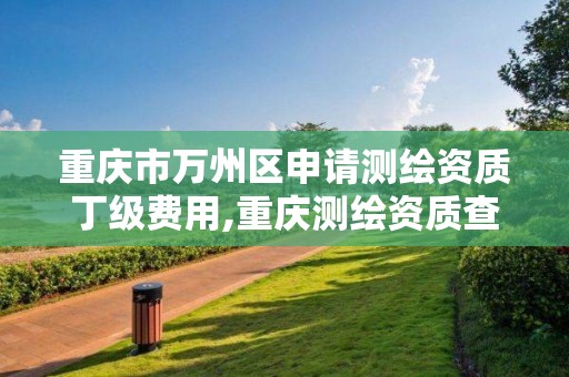 重慶市萬州區申請測繪資質丁級費用,重慶測繪資質查詢