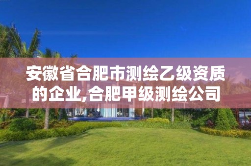 安徽省合肥市測繪乙級資質(zhì)的企業(yè),合肥甲級測繪公司