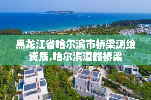 黑龍江省哈爾濱市橋梁測繪資質(zhì),哈爾濱道路橋梁